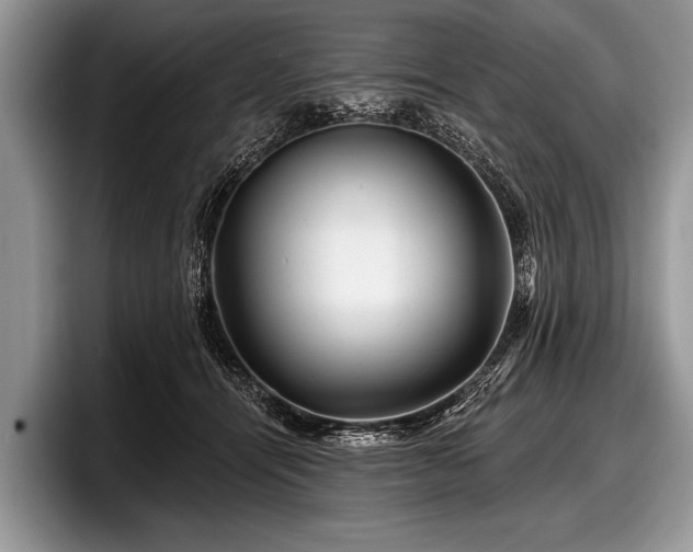 X0000097890464200803211359