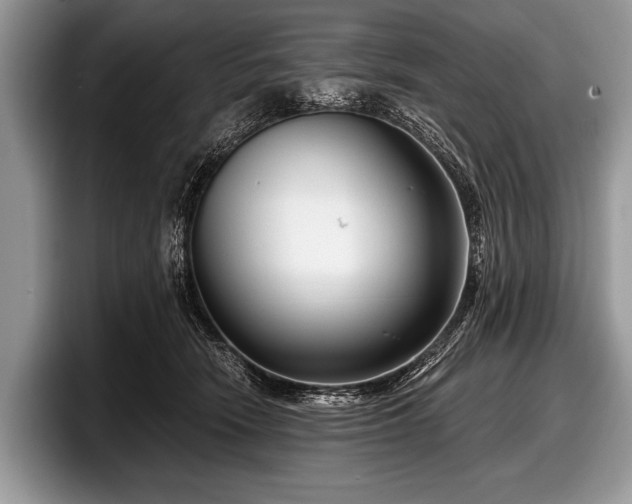 X0000097890466200803211359