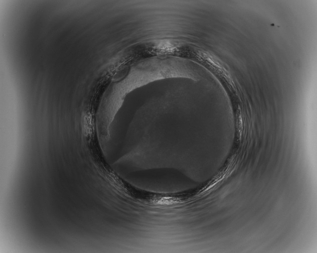 X0000097890467200803211359