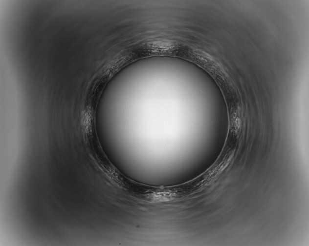 X0000097890468200803211359