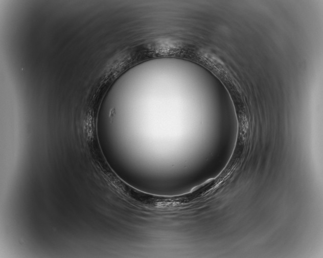 X0000097890470200803211359