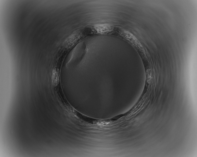 X0000097890471200803211359