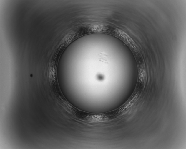 X0000097890473200803211359