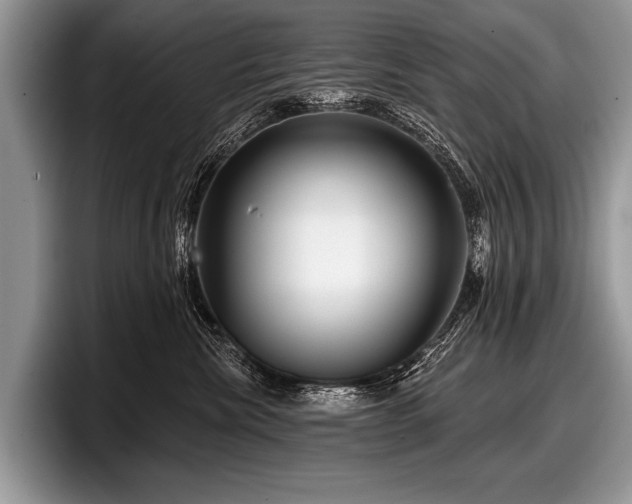 X0000097890476200803211359