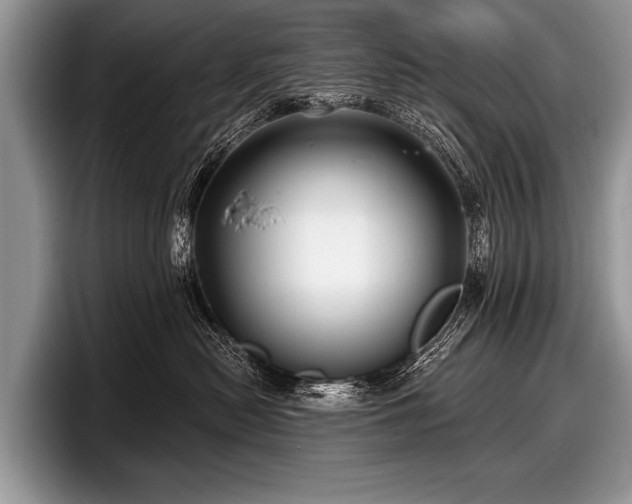 X0000097890478200803211359