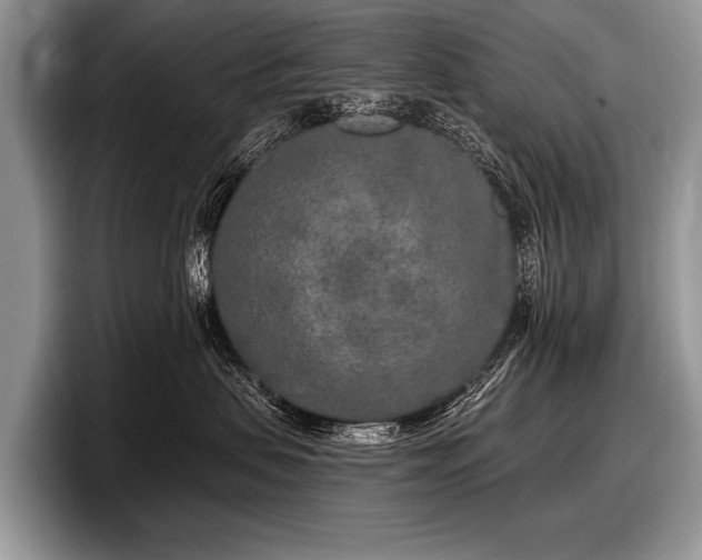 X0000097890479200803211359