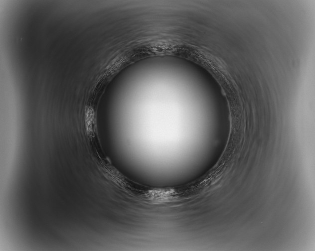 X0000097890480200803211359