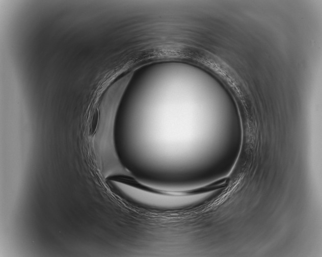 X0000097890481200803211358