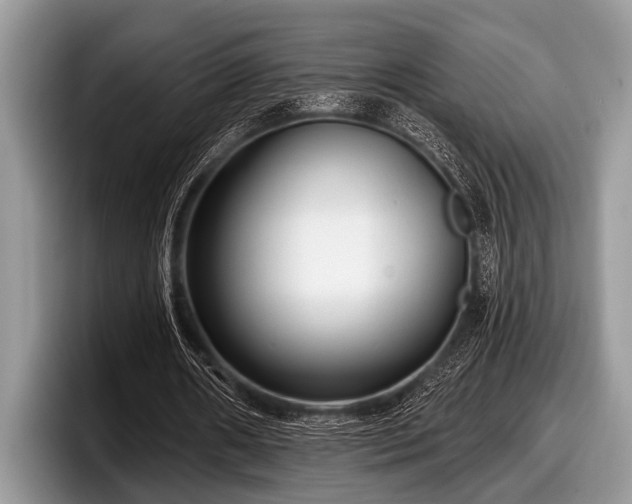 X0000097890482200803211358