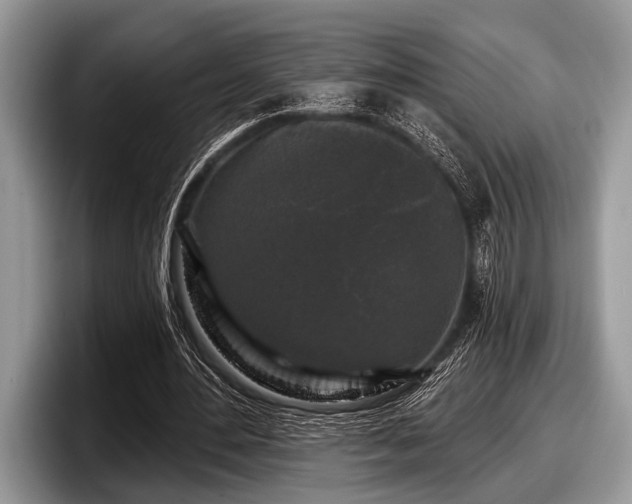 X0000097890484200803211358