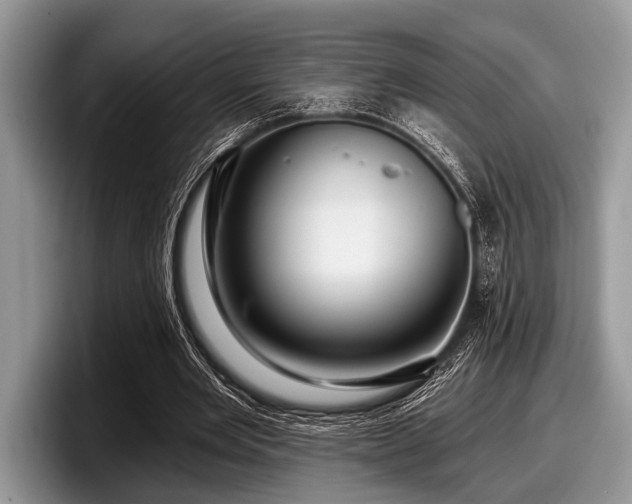 X0000097890485200803211358