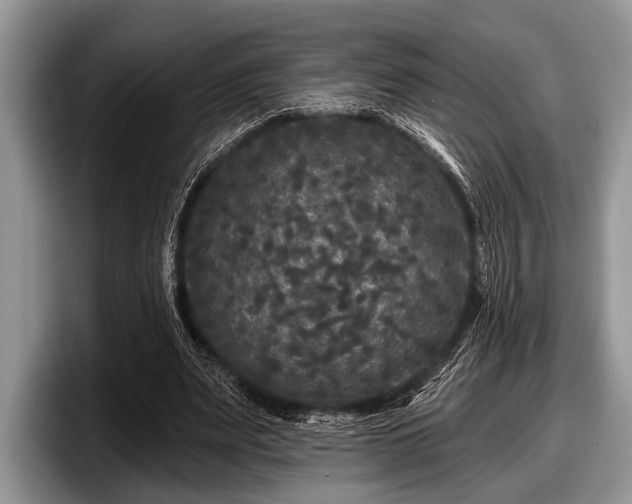 X0000097890487200803211358