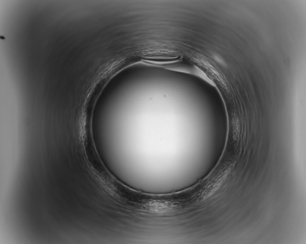 X0000097890490200803211358