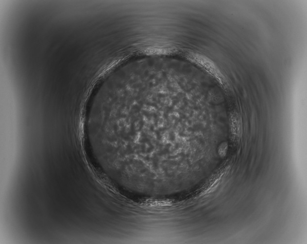 X0000097890491200803211358