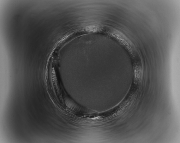 X0000097890492200803211358