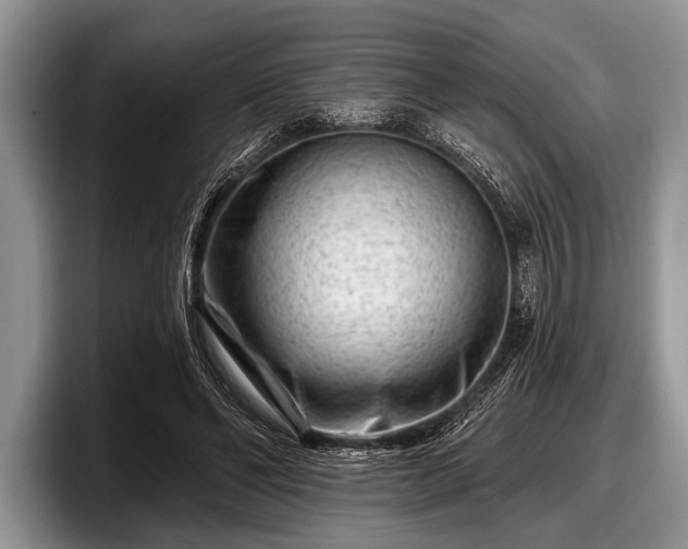 X0000097890494200803211358