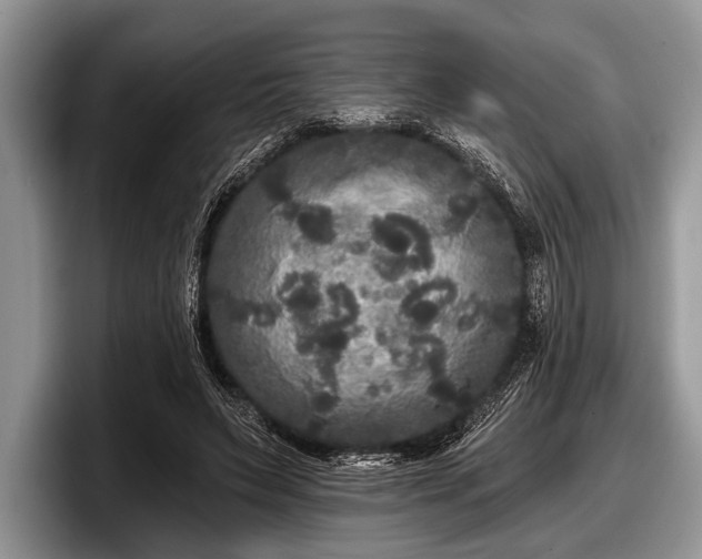 X0000097890495200803211358