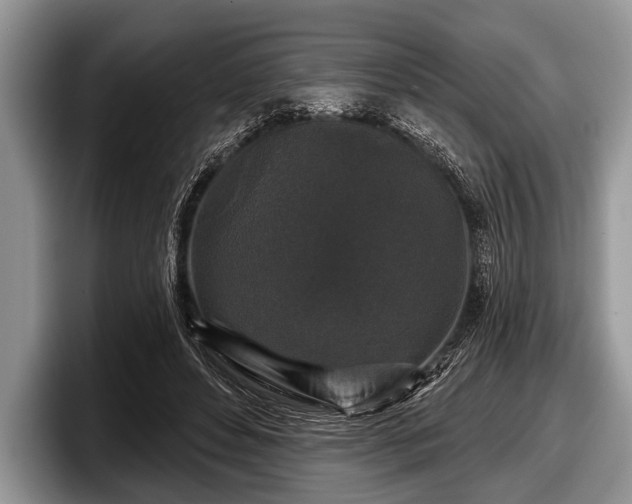 X0000097890496200803211358