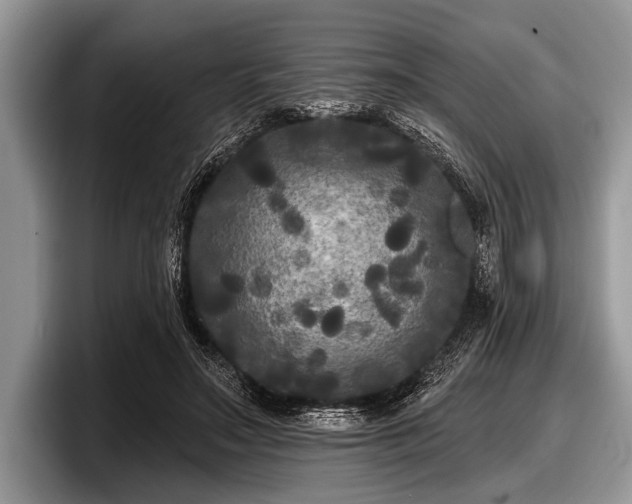 X0000097890499200803211358