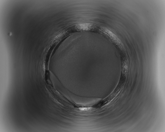 X0000097890500200803211358