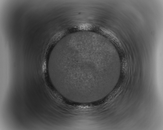 X0000097890502200803211358