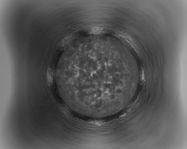 X0000097890503200803211358