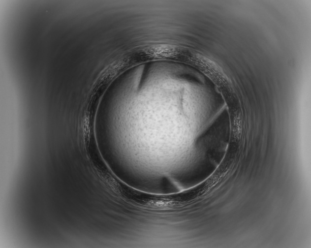 X0000097890506200803211358