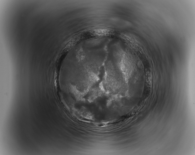 X0000097890507200803211358