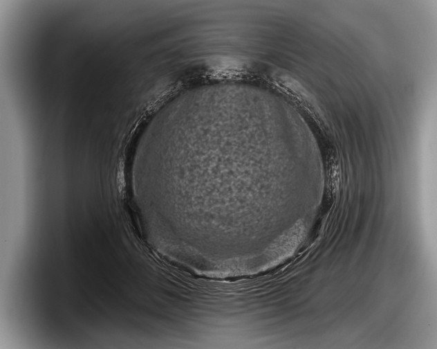 X0000097890508200803211358