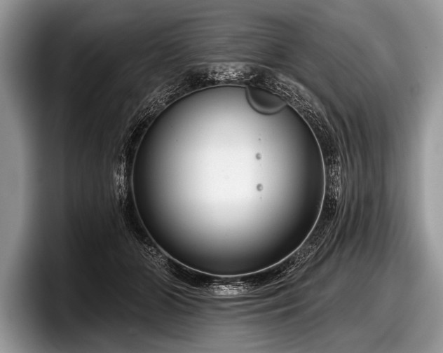 X0000097890510200803211358