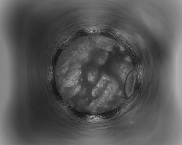 X0000097890511200803211358