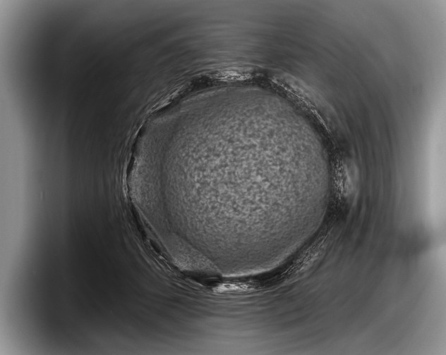 X0000097890512200803211358