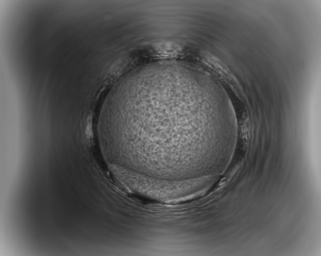 X0000097890516200803211358