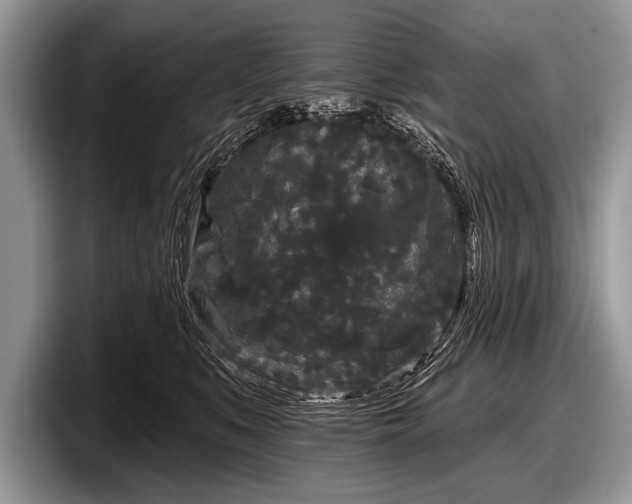 X0000097890519200803211358