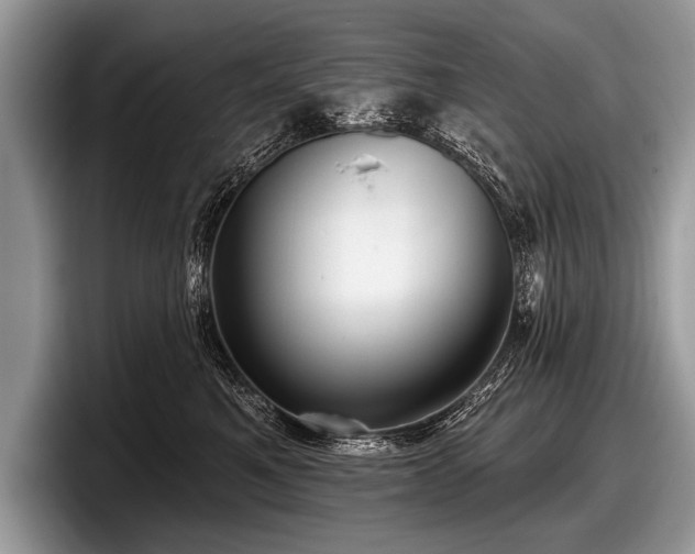 X0000097890521200803211358