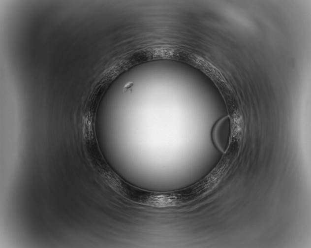 X0000097890522200803211358