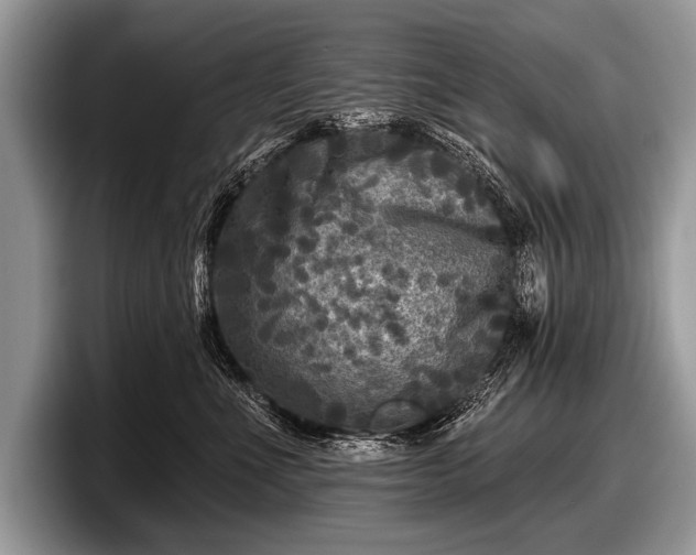 X0000097890523200803211358