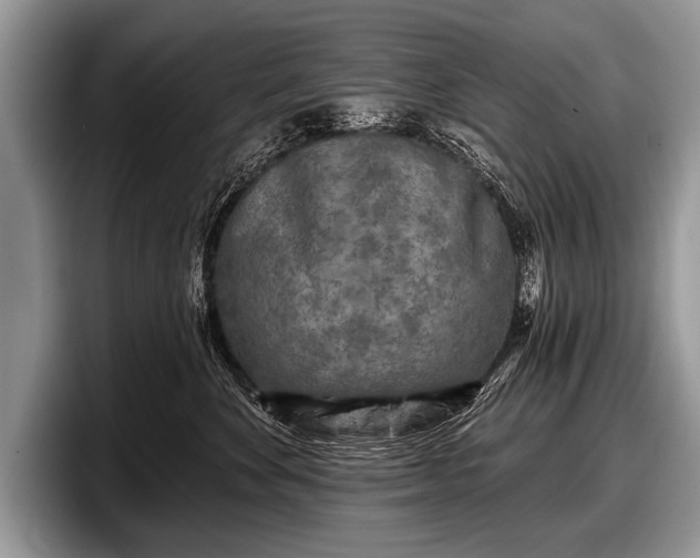 X0000097890524200803211358