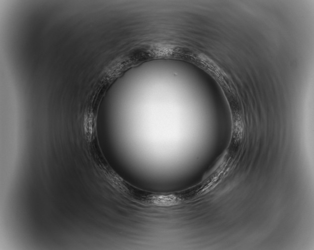 X0000097890525200803211358