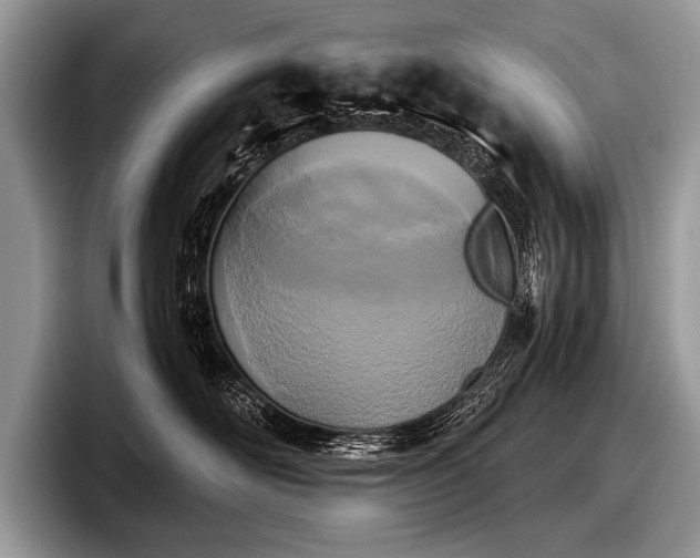 X0000097890526200803211358