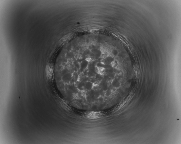 X0000097890527200803211358