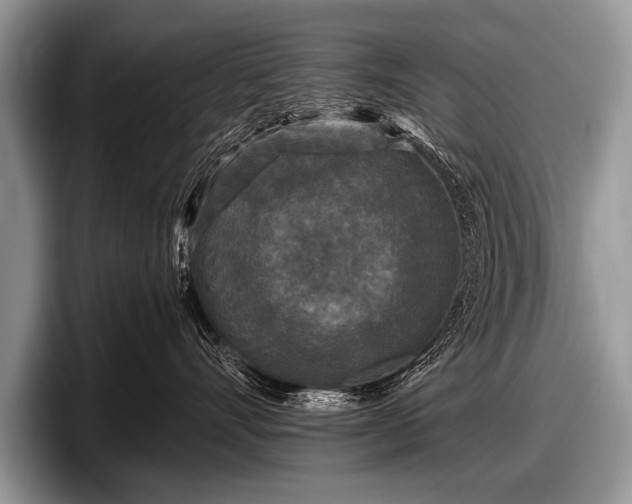 X0000097890528200803211358