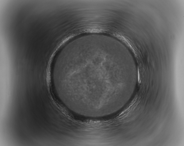 X0000097890531200803211357