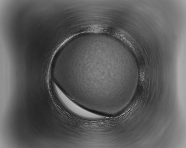 X0000097890532200803211357