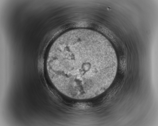 X0000097890534200803211357