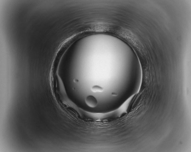 X0000097890536200803211357