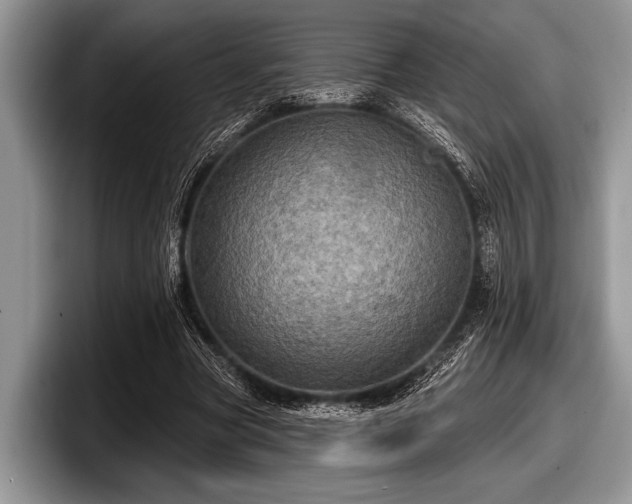 X0000097890537200803211357