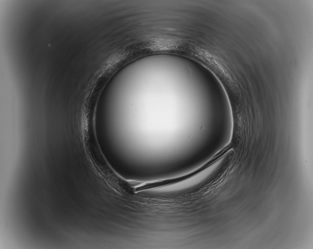 X0000097890539200803211357