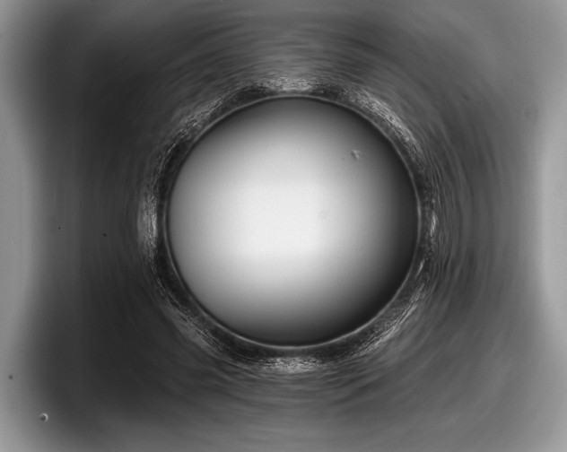 X0000097890541200803211357