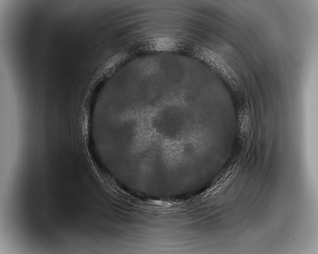 X0000097890542200803211357